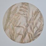 paper-moon-chasmanthium-latifolium-jade-taylor-botanical-monoprint-tunbridge-wells.jpg Paper Moon – Chasmanthium Latifolium I by Jade Taylor, botanical monoprint featuring native grasses, circular mount, walnut veneer frame.