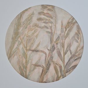 Paper Moon – Chasmanthium Latifolium I by Jade Taylor, botanical monoprint featuring native grasses, circular mount, walnut veneer frame.