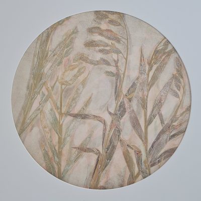 Paper Moon – Chasmanthium Latifolium I by Jade Taylor, botanical monoprint featuring native grasses, circular mount, walnut veneer frame.