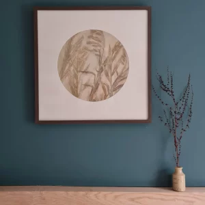 Paper Moon – Chasmanthium Latifolium I by Jade Taylor, botanical monoprint featuring native grasses, circular mount, walnut veneer frame.