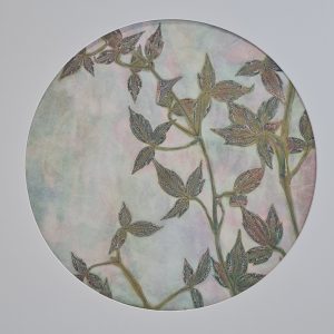 Paper Moon – Clematis Montana by Jade Taylor, botanical monoprint with circular mount and walnut veneer frame.