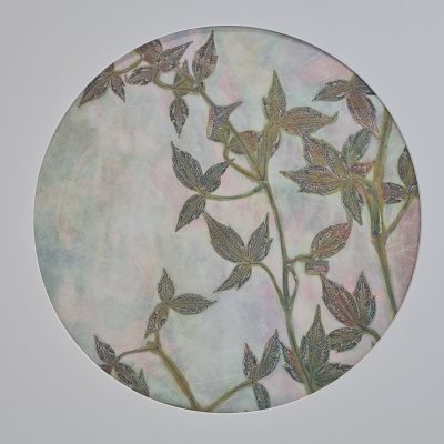 Paper Moon – Clematis Montana by Jade Taylor, botanical monoprint with circular mount and walnut veneer frame.