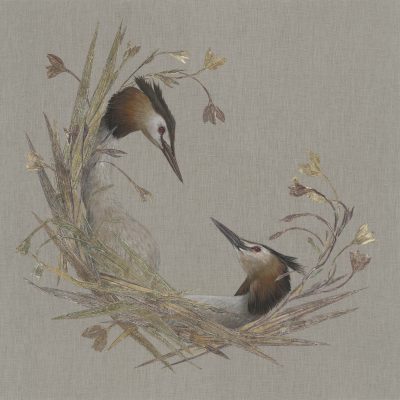 The Gaze by Jade Taylor – botanical monoprint featuring a Great Crested Grebe in a circular composition.
