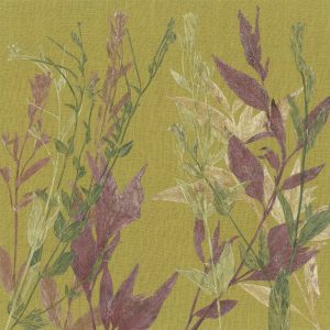 Meadow Edge III by Jade Taylor – botanical collage on linen float-framed.