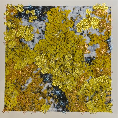 “Ambers in Bloom artwork by Pari Aazami — mixed-media photograph with silver and 23-carat gold leaf, warm amber textures, framed with ArtGlass UV70.”