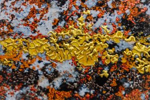 “And The Fire That Grows Between The Stillness II by Pari Aazami — mixed-media artwork with silver leaf, deep reds, greys, and yellow highlights.”