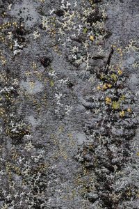 “Awakening by Pari Aazami — minimalist mixed-media artwork with gold, tin, and silver leaf on textured FineArt paper.”