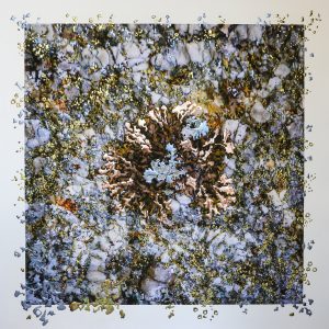 “Granite Garden II by Pari Aazami — mixed-media artwork inspired by Tasmanian lichen, silver and tin leaf on archival FineArt paper.”