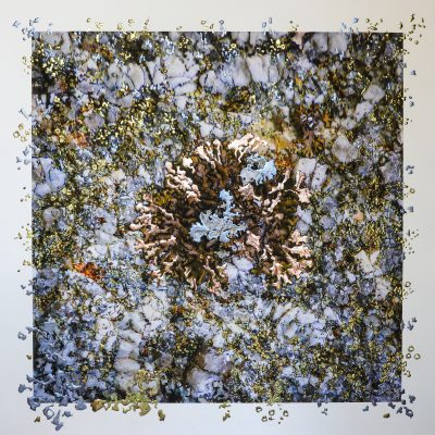 “Granite Garden II by Pari Aazami — mixed-media artwork inspired by Tasmanian lichen, silver and tin leaf on archival FineArt paper.”