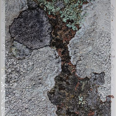 “Hendre Selar Garden by Pari Aazami — mixed-media artwork with silver leaf, inspired by lichen on slate and Welsh landscapes.”