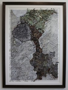 “Hendre Selar Garden by Pari Aazami — mixed-media artwork with silver leaf, inspired by lichen on slate and Welsh landscapes.”