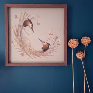 The Gaze by Jade Taylor – botanical monoprint featuring a Great Crested Grebe in a circular composition.