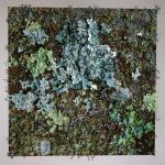 kata-pari-aazami-urban-teal.jpg “Urban Teal by Pari Aazami — mixed-media artwork with tin, gold, and multi-shade silver leaf on FineArt paper, large square format.”
