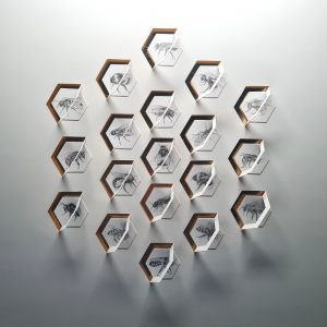 The Hive V by Jade Taylor – graphite and 24ct gold leaf artwork featuring detailed bee drawings.