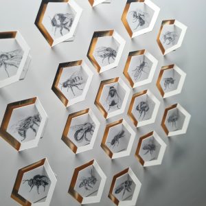The Hive V by Jade Taylor – graphite and 24ct gold leaf artwork featuring detailed bee drawings.