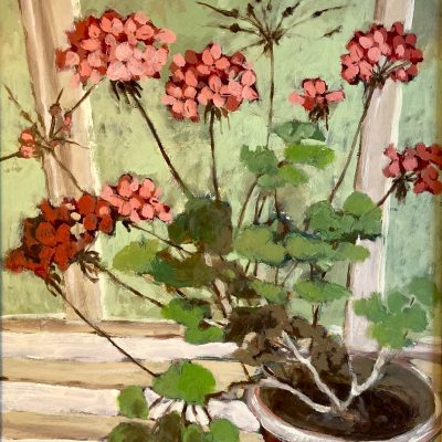 Greenhouse Geranium original oil painting by Jude Askey-Brown, depicting a geranium in soft greenhouse light, available at KATA Tunbridge Wells