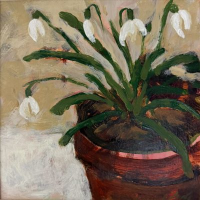 Snowdrops original oil painting by Jude Askey-Brown, depicting early snowdrops in a terracotta pot, available at KATA Tunbridge Wells