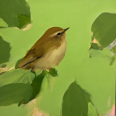 Heidi Langridge chiffchaff artwork Chiffchaff, Green & Pink, showing a small bird surrounded by fresh green and soft pink abstract forms.