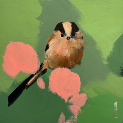 Heidi Langridge long-tailed tit artwork, showing a long-tailed tit surrounded by soft green and coral-pink forms.