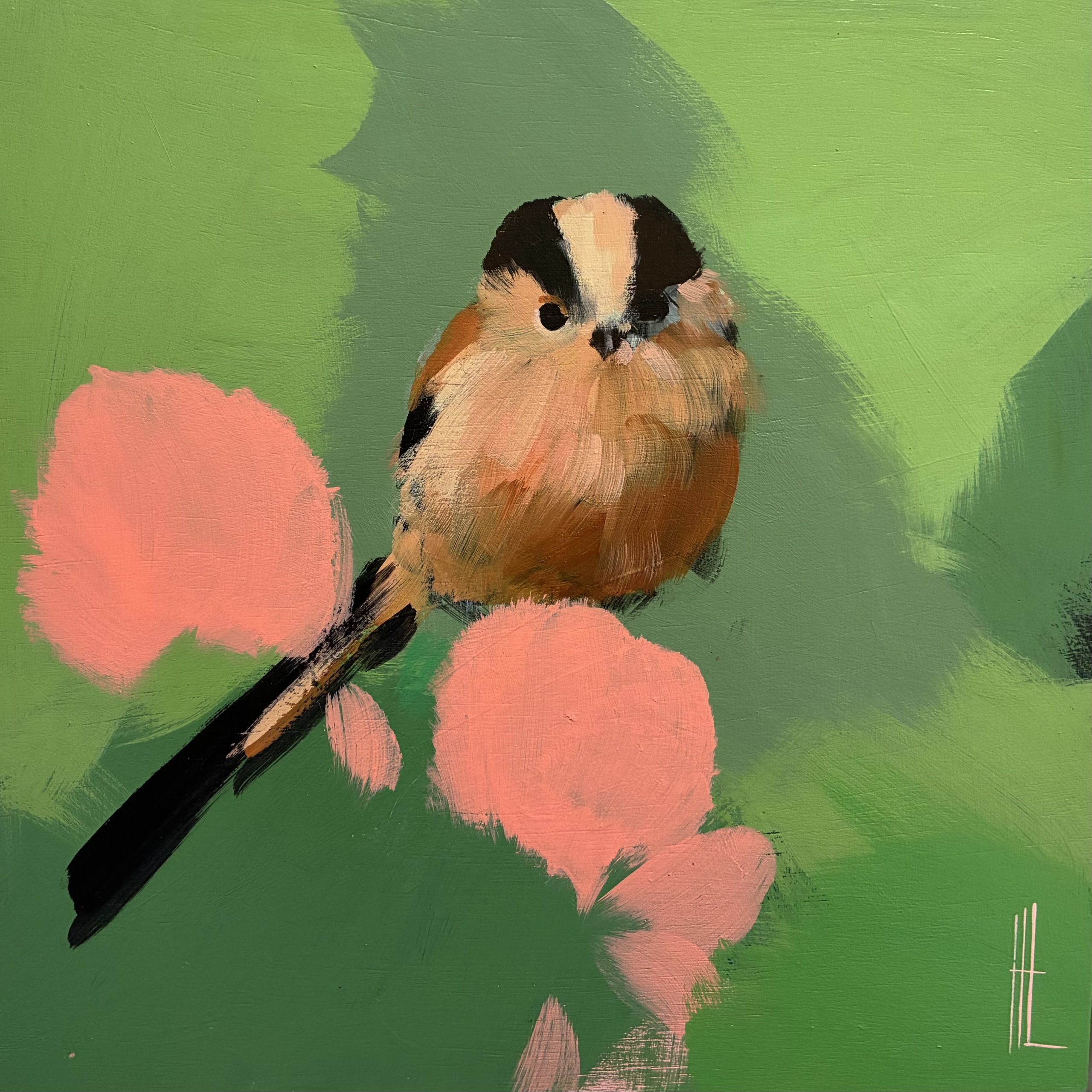 Heidi Langridge long-tailed tit artwork, showing a long-tailed tit surrounded by soft green and coral-pink forms.
