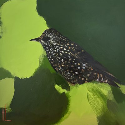 Starling, Greens by Heidi Langridge, framed original artwork showing a speckled starling surrounded by vivid layered green forms