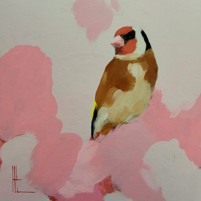 Heidi Langridge goldfinch pink artwork Goldfinch, Pinks, featuring a goldfinch surrounded by soft blush, rose and pale pink forms.